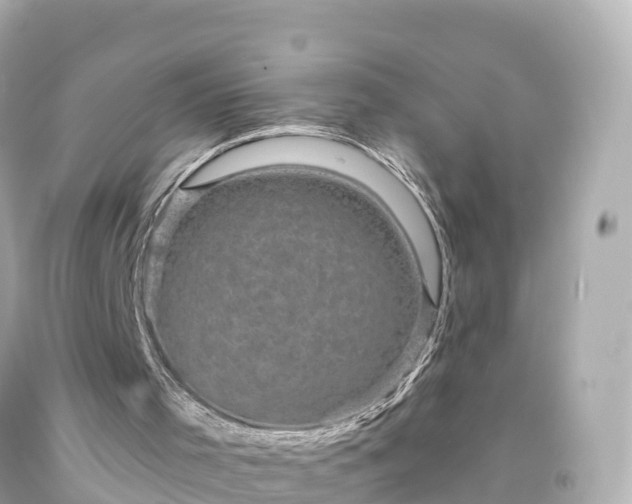 X0000094190001200711021039