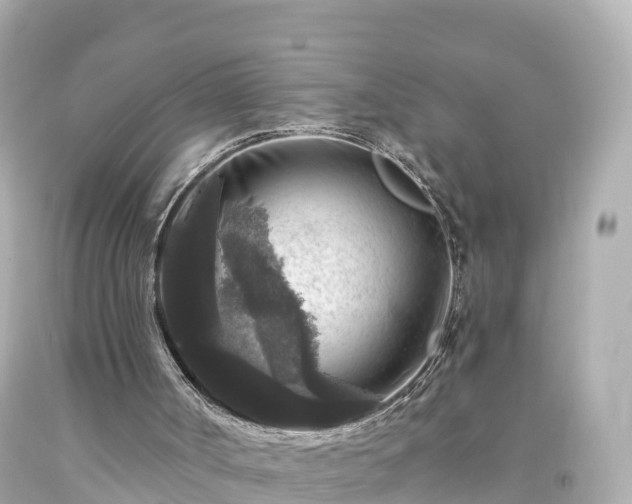 X0000094190002200711021039