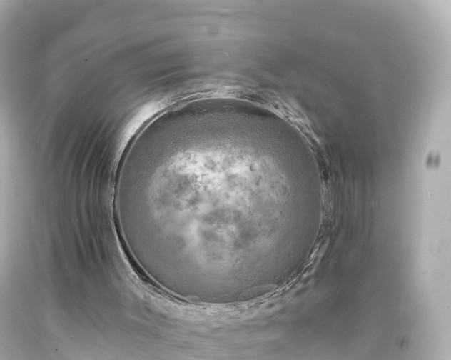 X0000094190003200711021039