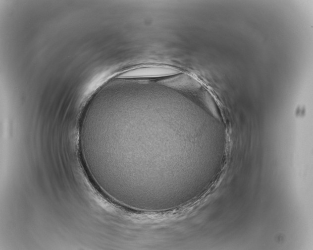 X0000094190005200711021039