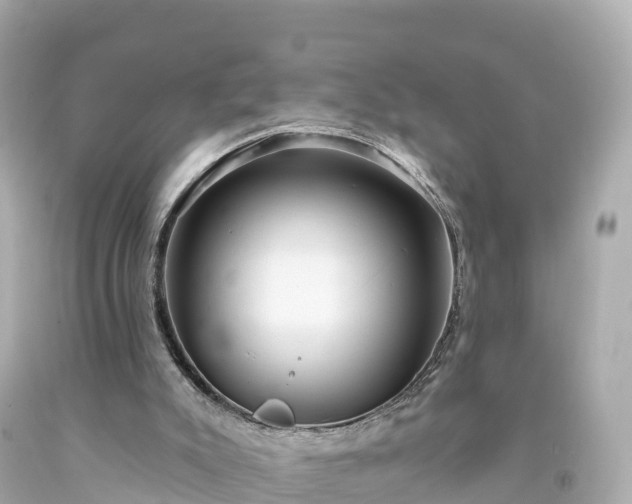 X0000094190007200711021039