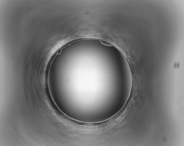 X0000094190008200711021039