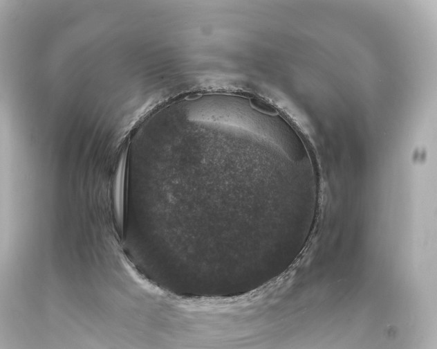 X0000094190009200711021039