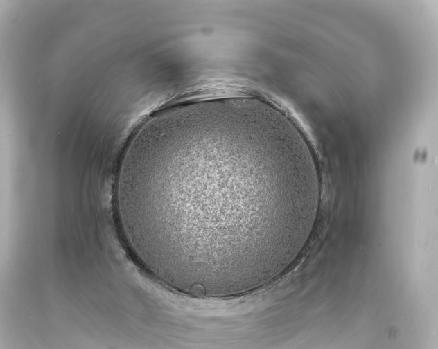 X0000094190010200711021039