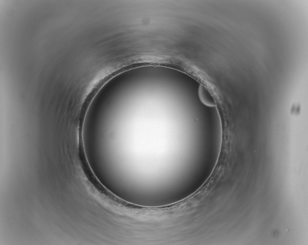 X0000094190011200711021039