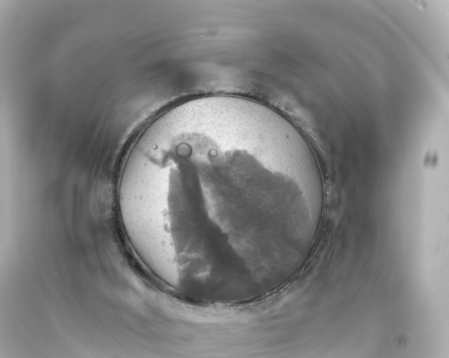 X0000094190012200711021039