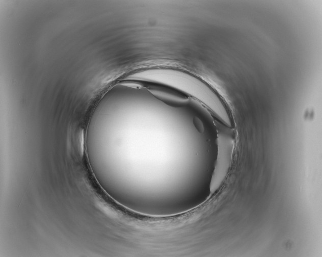 X0000094190013200711021039