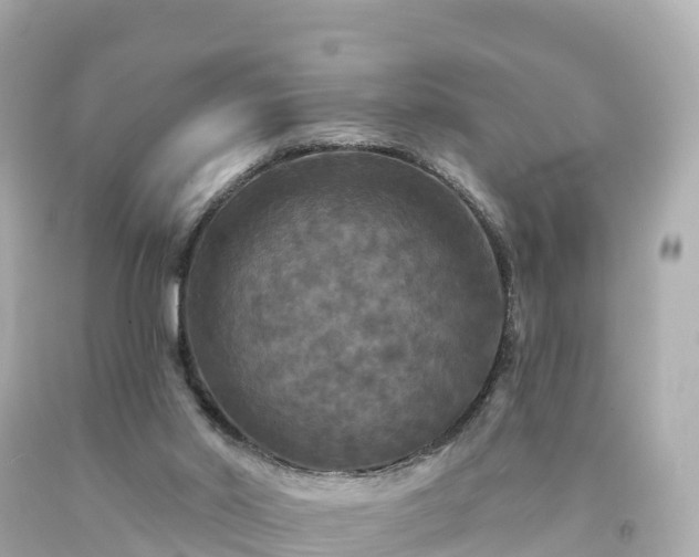 X0000094190014200711021039