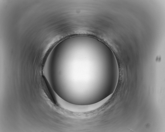 X0000094190015200711021039