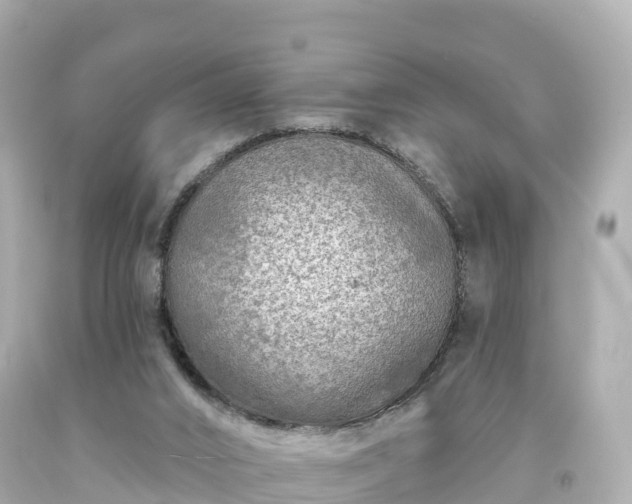 X0000094190016200711021039