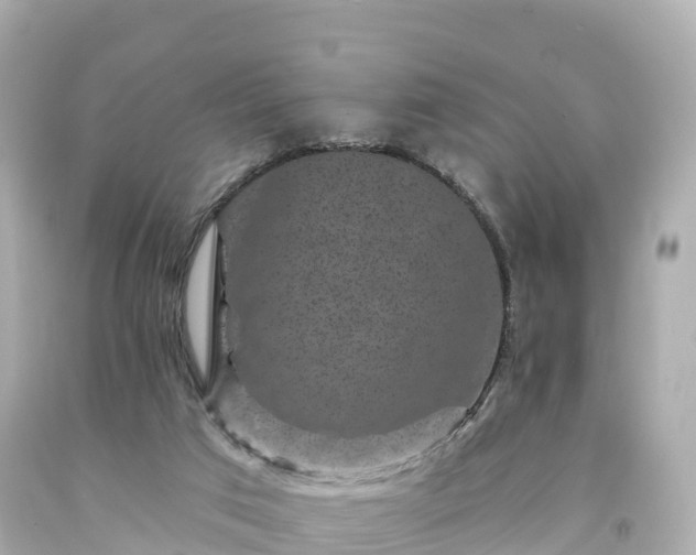 X0000094190017200711021039