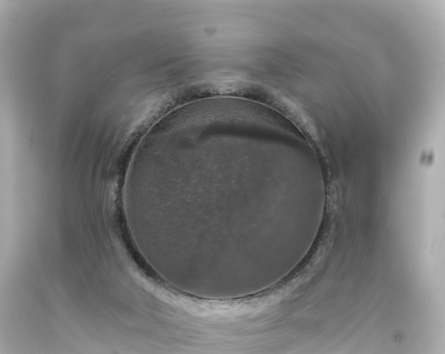 X0000094190018200711021039