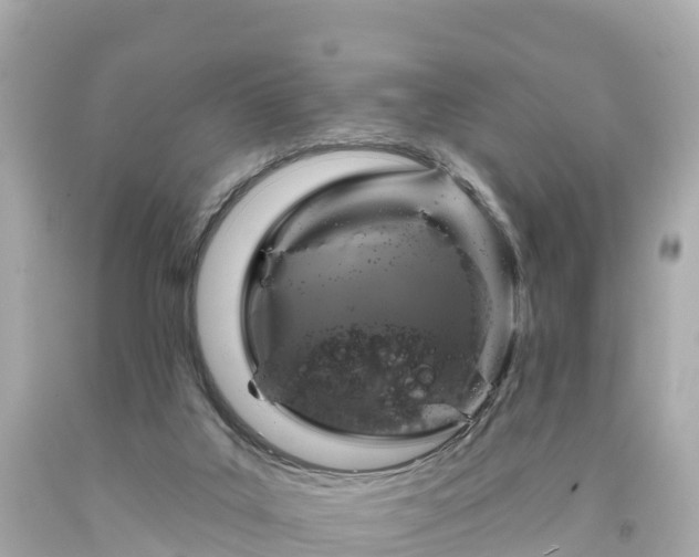 X0000094190019200711021039