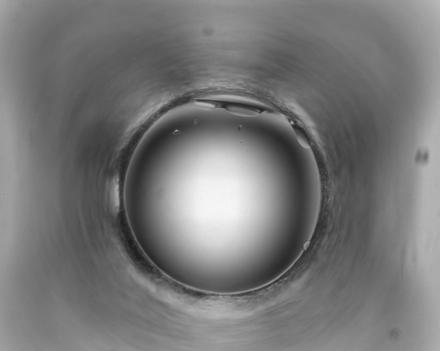 X0000094190020200711021039