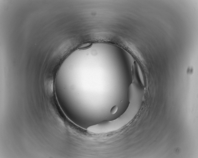 X0000094190021200711021039