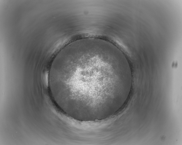 X0000094190022200711021039