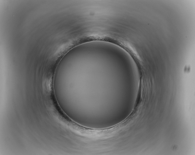 X0000094190023200711021039