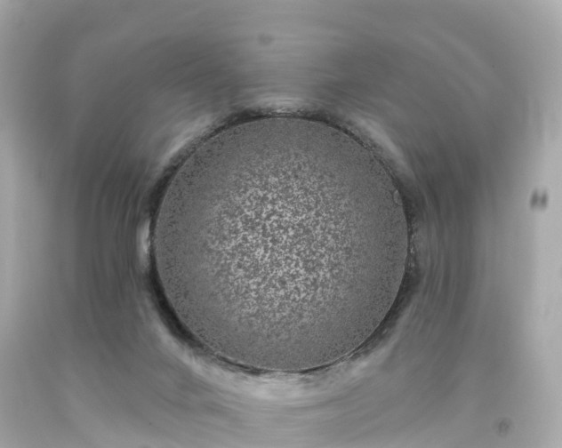 X0000094190024200711021039