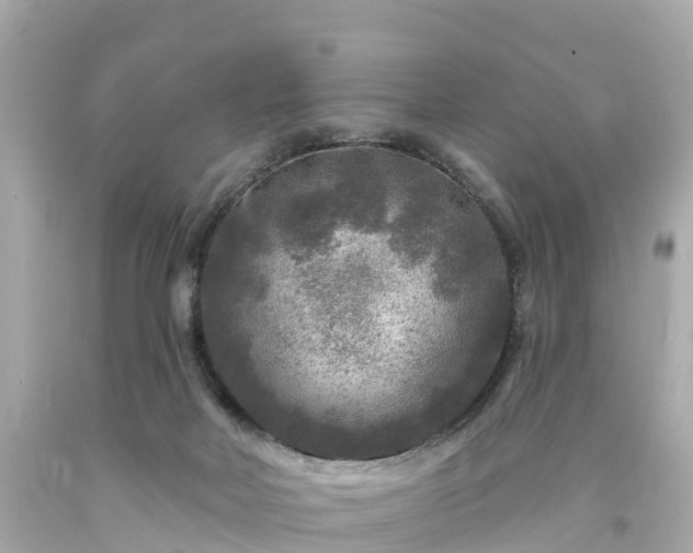 X0000094190026200711021038