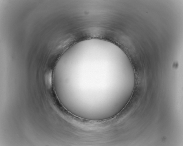 X0000094190028200711021038