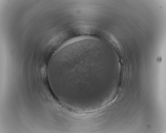 X0000094190029200711021038