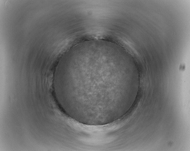 X0000094190030200711021038