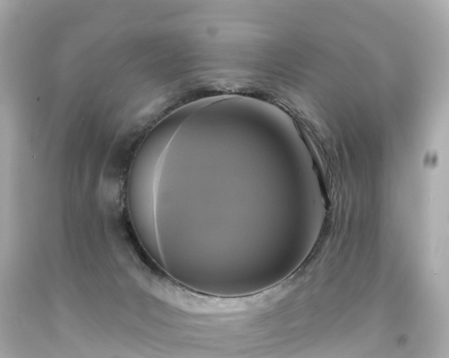 X0000094190031200711021038