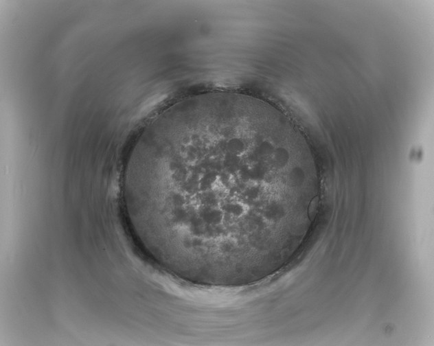 X0000094190032200711021038