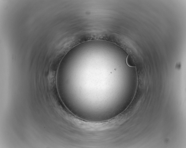 X0000094190034200711021038