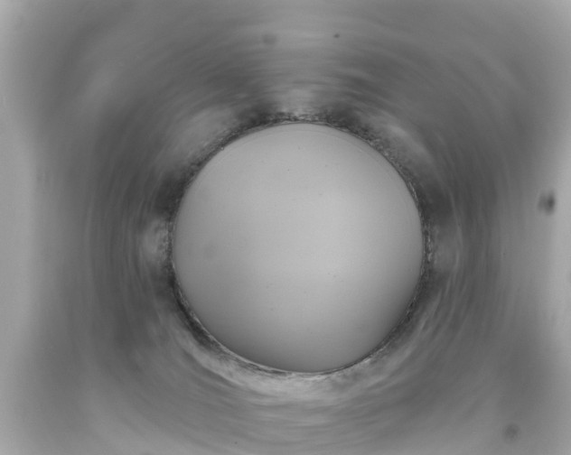 X0000094190036200711021038