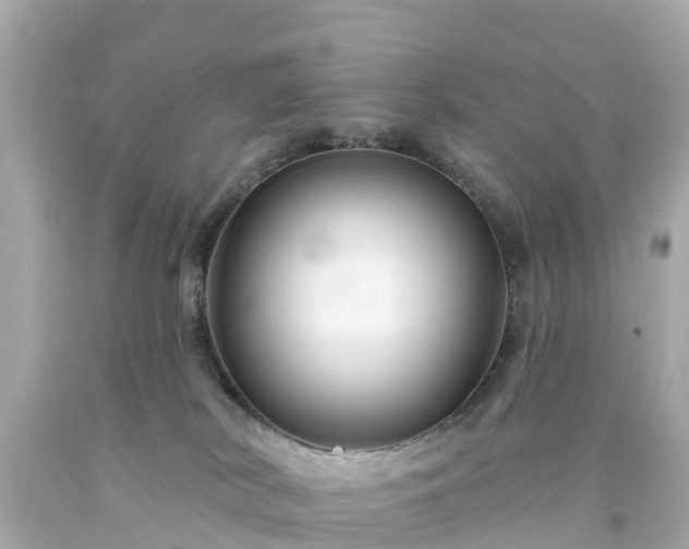 X0000094190038200711021038