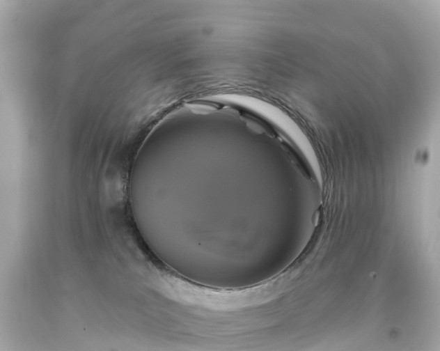 X0000094190039200711021038