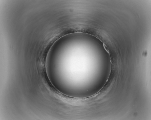 X0000094190040200711021038