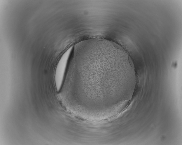 X0000094190041200711021038