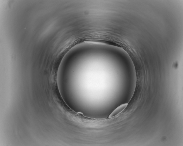 X0000094190044200711021038