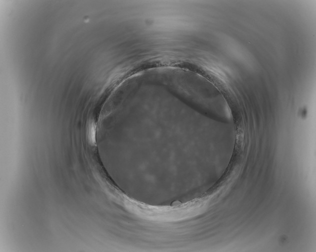 X0000094190046200711021038