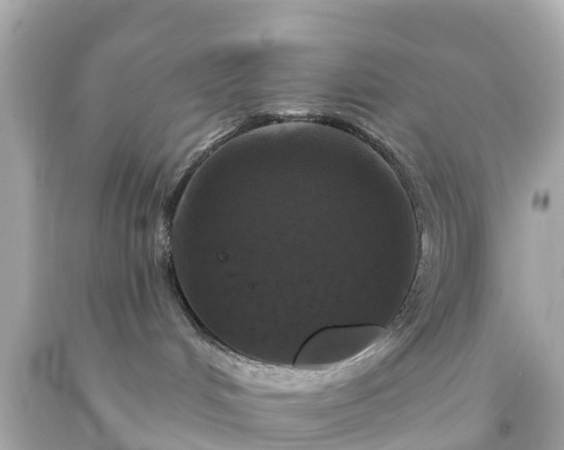 X0000094190048200711021038