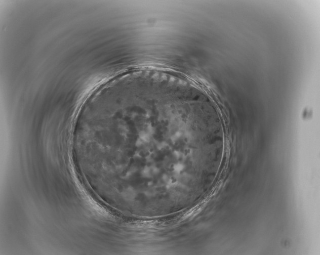 X0000094190049200711021038