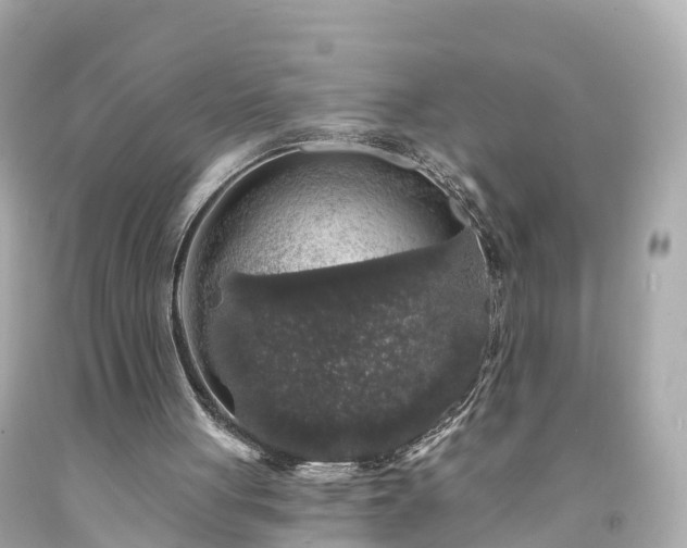 X0000094190051200711021038