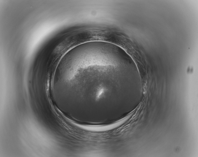 X0000094190052200711021038