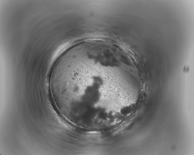 X0000094190053200711021038