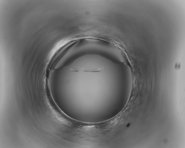 X0000094190054200711021038