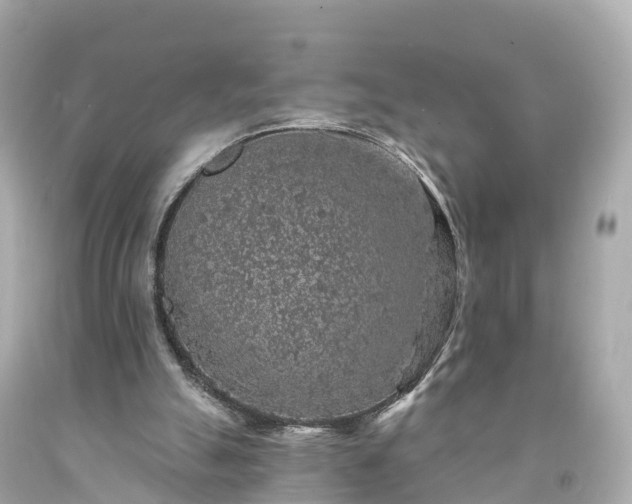 X0000094190055200711021038