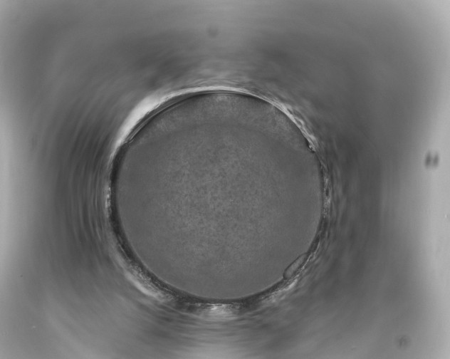 X0000094190056200711021038