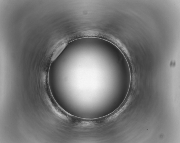 X0000094190057200711021038