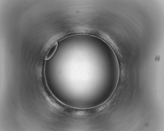 X0000094190058200711021038