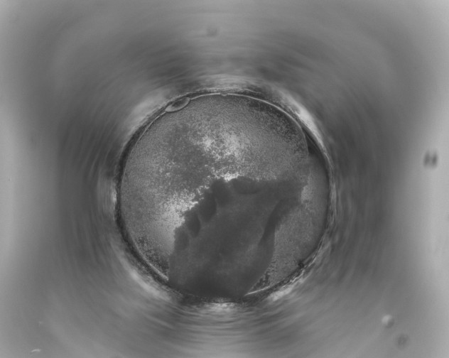 X0000094190059200711021038