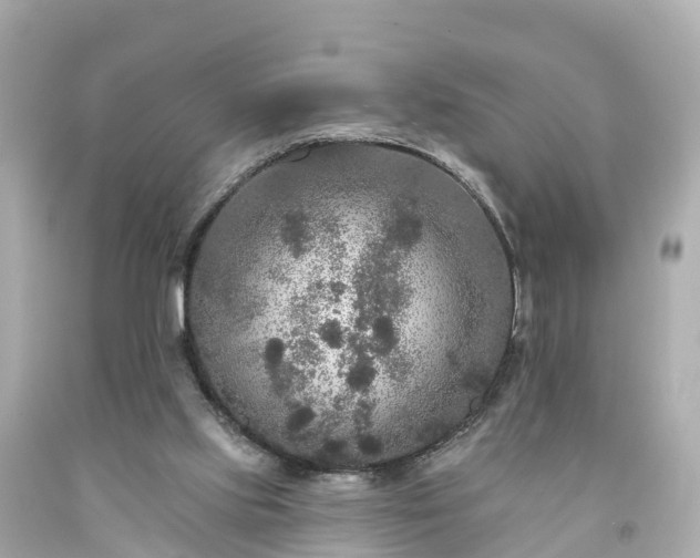 X0000094190061200711021038