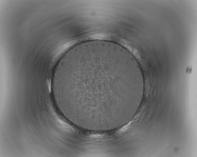 X0000094190062200711021038