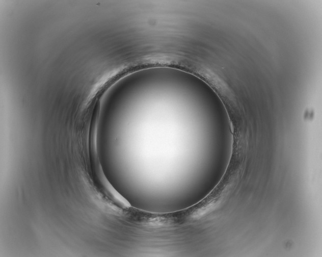 X0000094190064200711021038